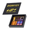 BGM121A256V2 SMD-56P package