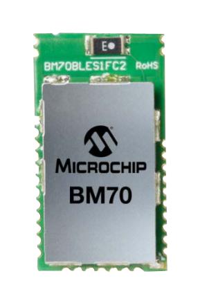 BM70BLES1FC2-0B04AA SMD-33P package